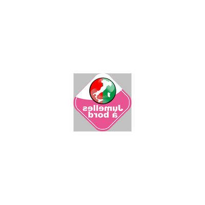 autocollants bebe a bord jumelles d origine