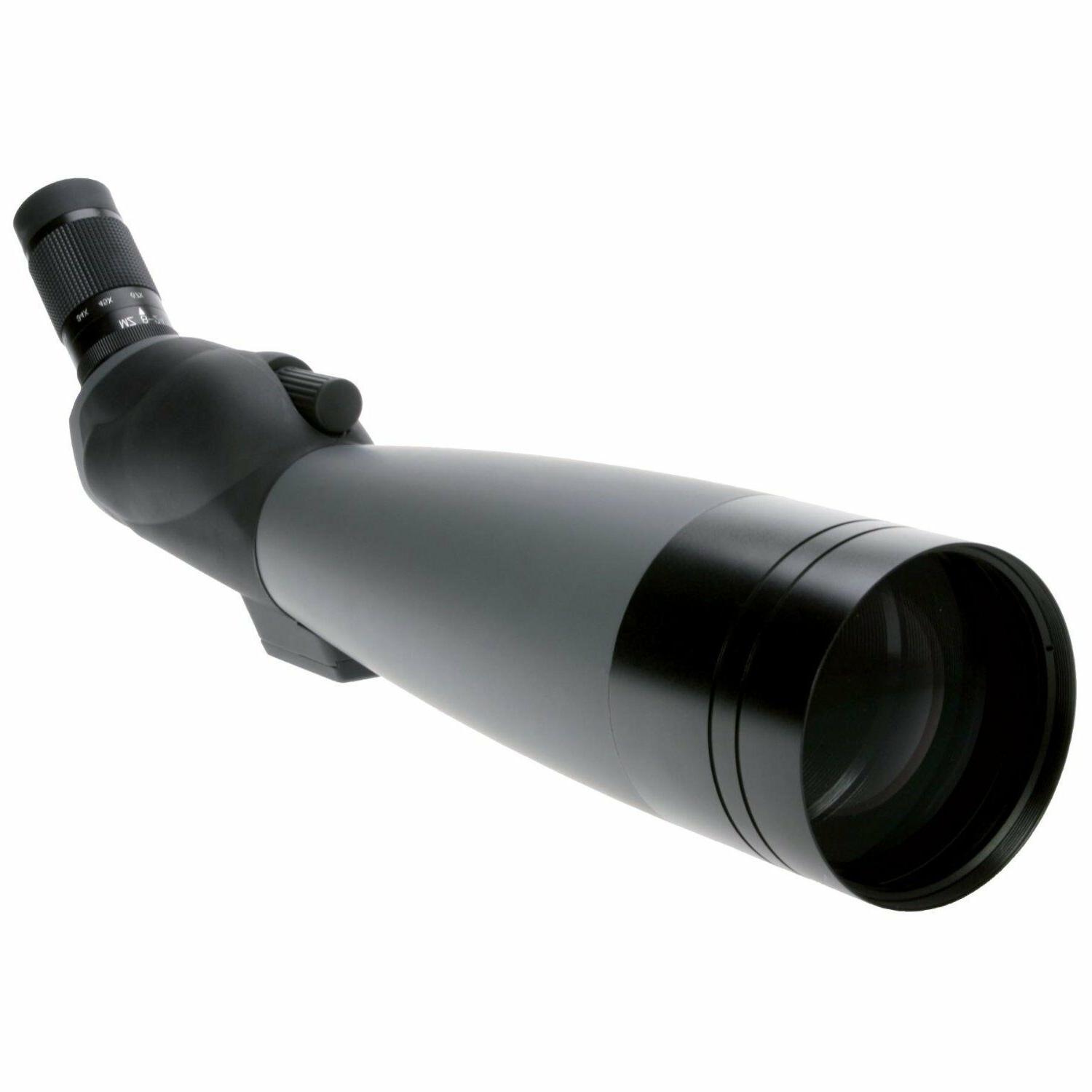 danubia zoom longue vue pluie forest 20